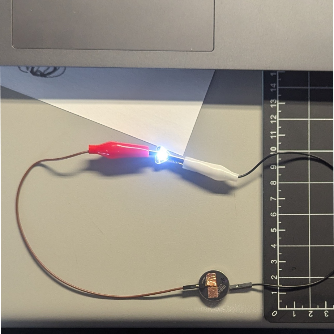 This time, I used alligator clips, and they worked perfectly. It inspired me to use graphite painting again.